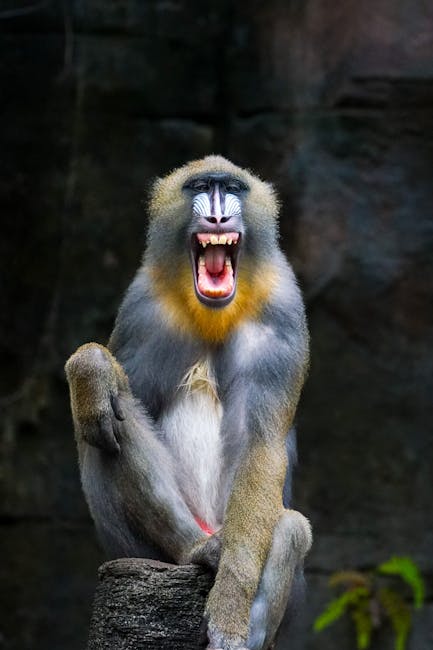 Elegantly styled fashion editorial showcasing modern lifestyle trends